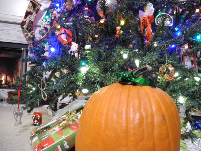 Christmas Tree and Pumpkin