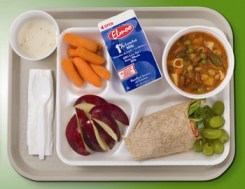 School Lunch