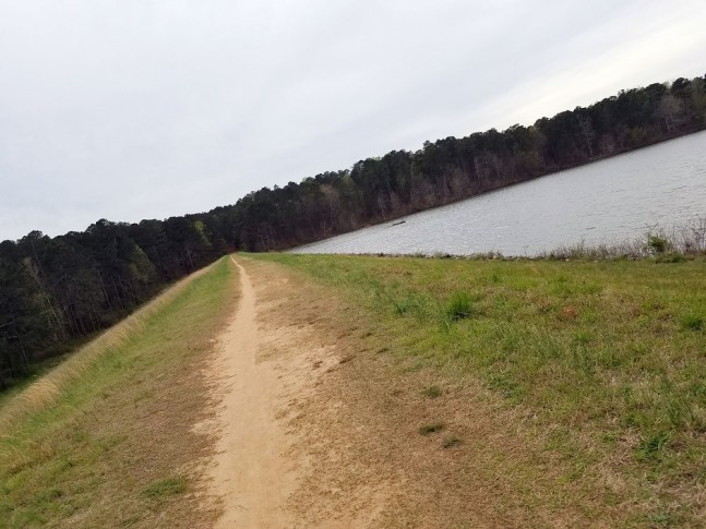 Sometimes the obstacles produce the right path.