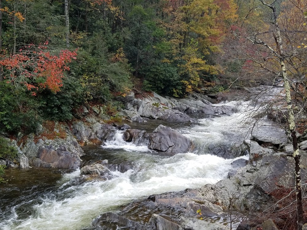 Fall rapids at the Smoky Mountains.