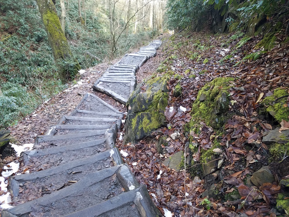 Steps on Chimney Top Trail.