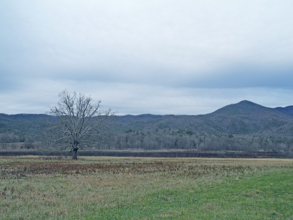 Cades Cove in the fall.