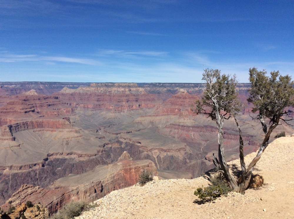 South Rim of the Grand Canyon.