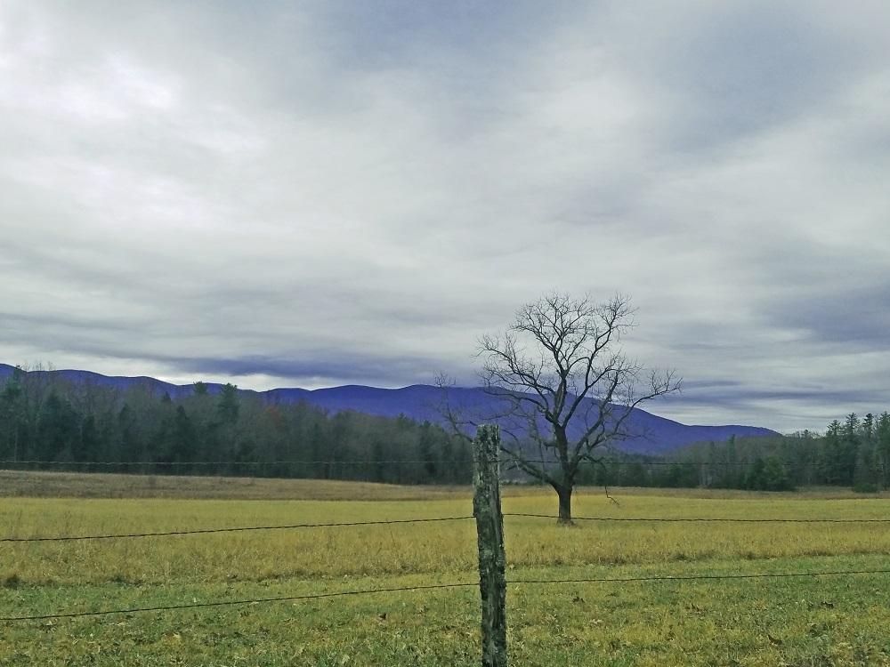 Purple mountains in the autumn.