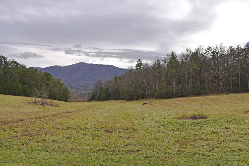 Cades Cove, winter of 2019