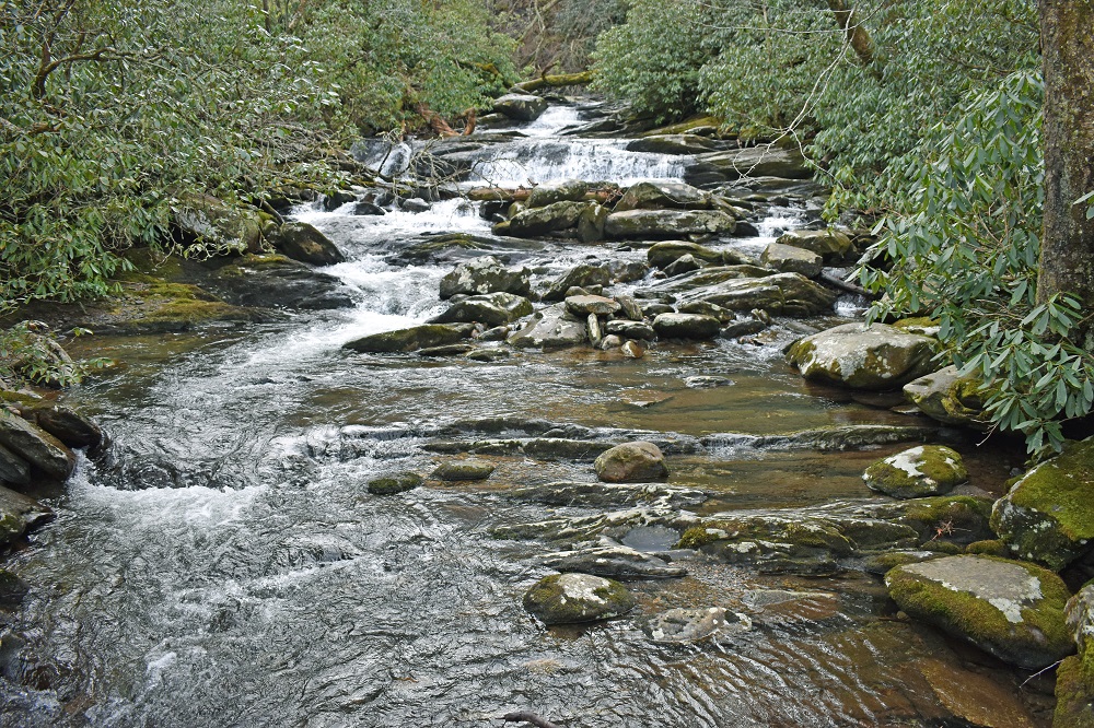 Falls in the entrance to Chimney Tops Trail.