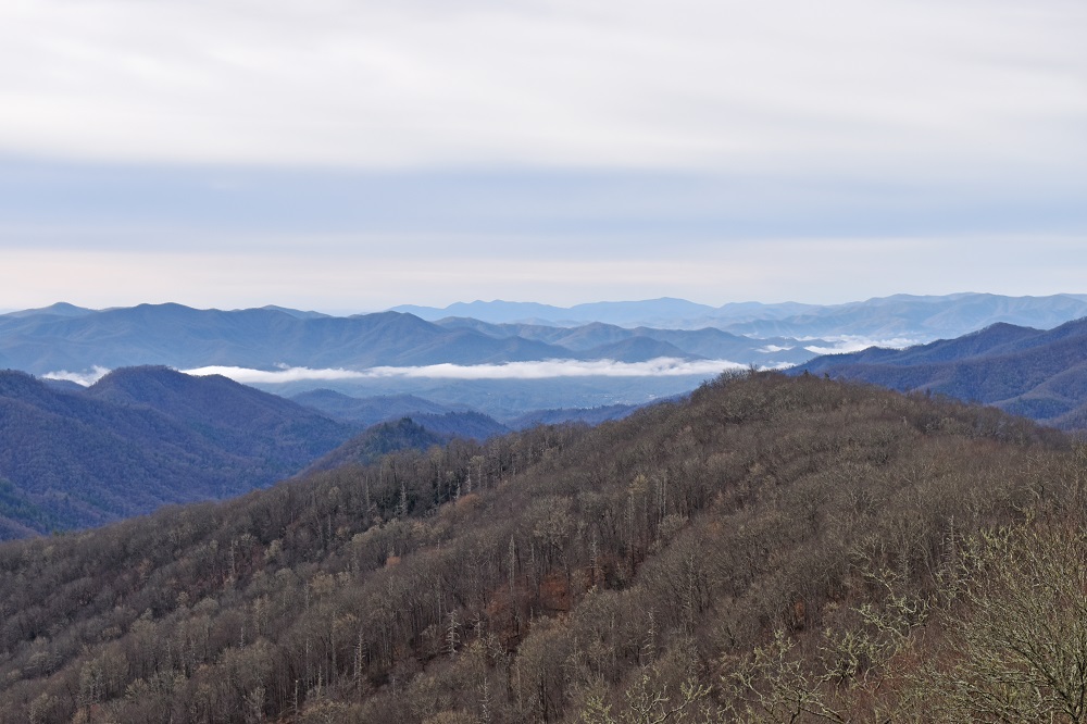 Smoky Mountains in March