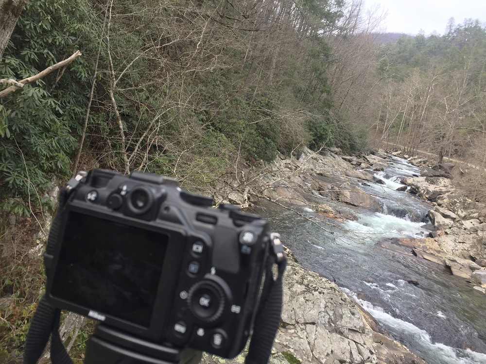 Taking spring photos in the Smokys