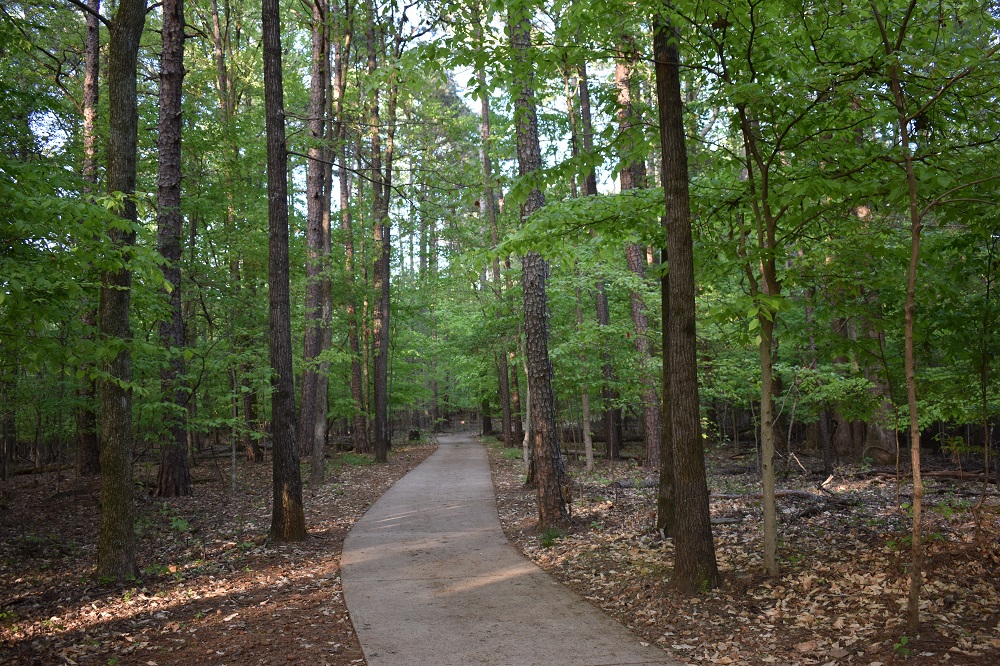 Spring evening at Little Mulberry Park.